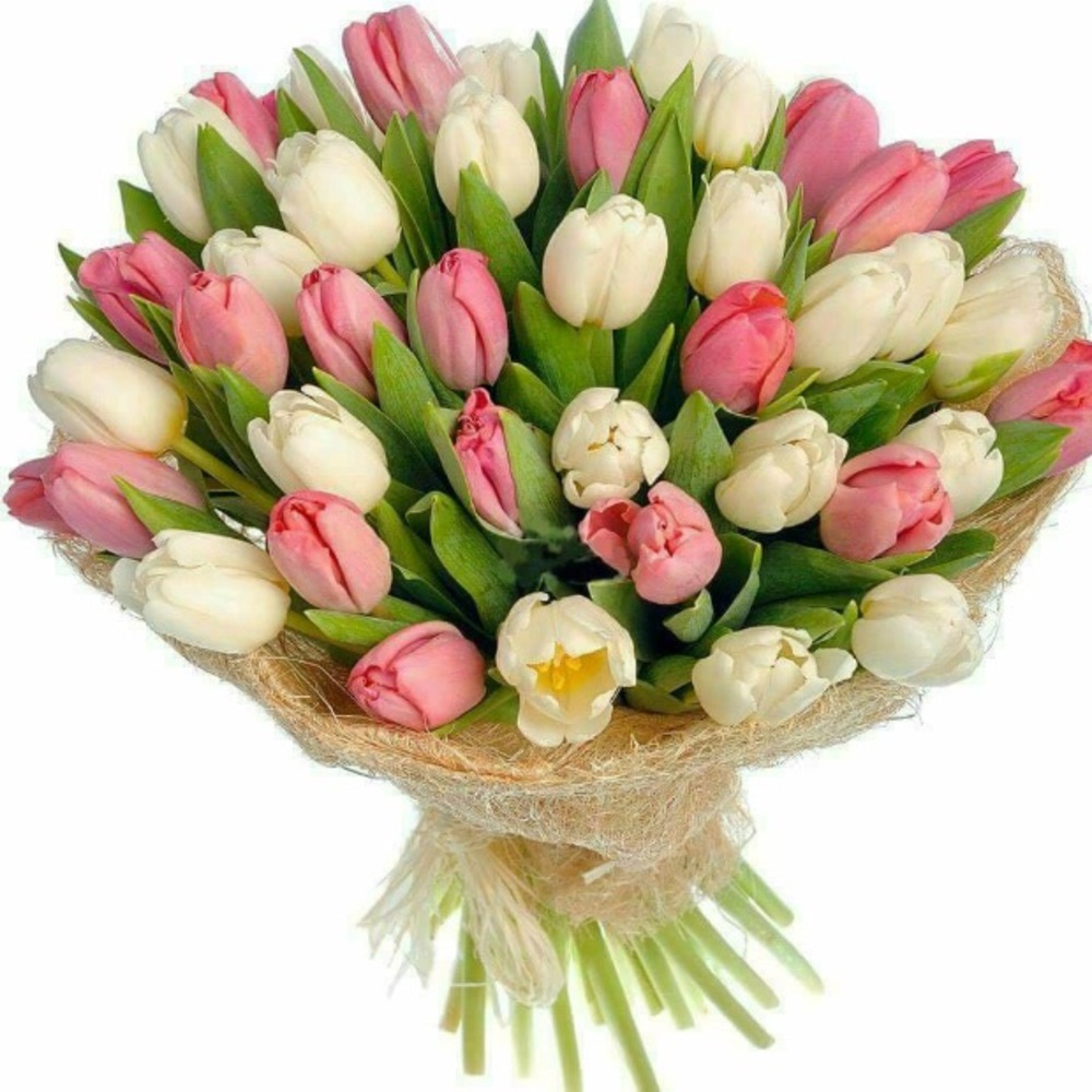 Meet your Posher, Angelica